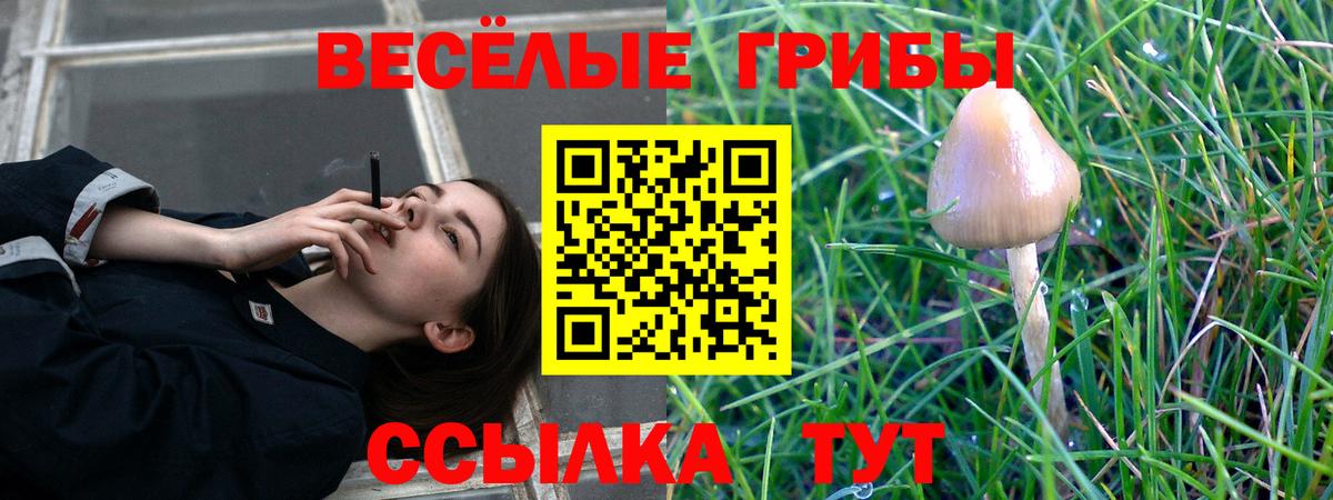 Псилоцибиновые грибы MAGIC MUSHROOMS  Вход с VPN  Галлюциногенные грибы мухоморы  Чита 