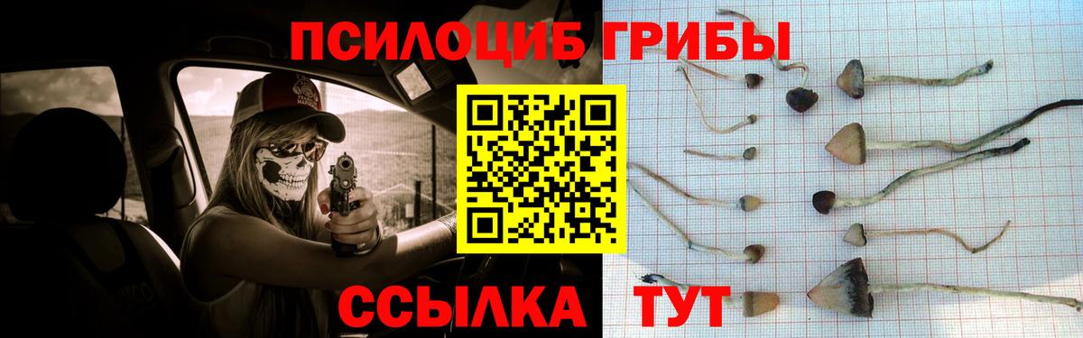 Псилоцибиновые грибы GOLDEN TEACHER Чита